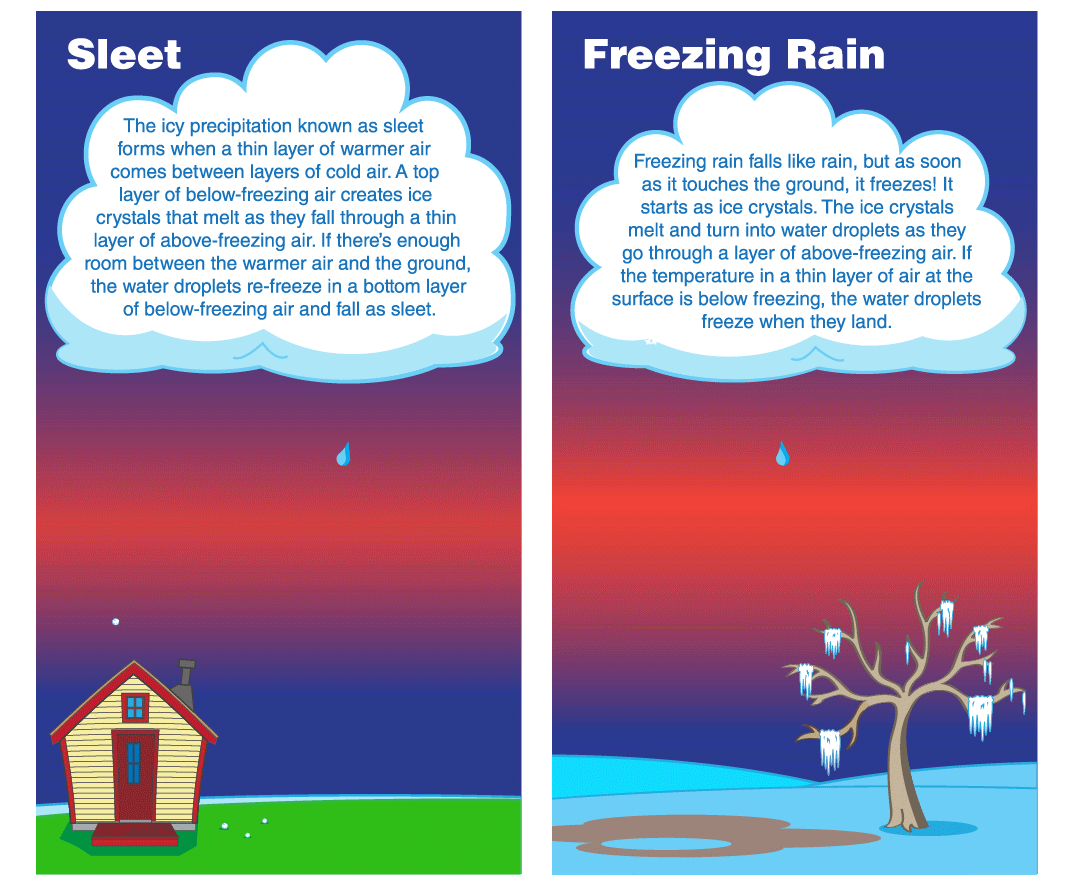Infographic describing the different types of precipitation, including rain, hail, sleet, freezing rain, graupel and snow.