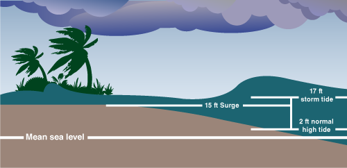a diagram of a shoreline with water levels during high tide, low tide, and a storm surge