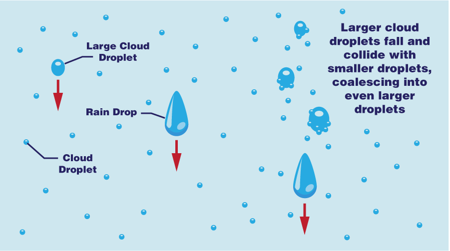 This digital graphic shows how little cloud droplets come together with other droplets to form large cloud droplets and raindrops. The graphic labels a small cloud droplet, a large cloud droplet, and a rain cloud droplet. The graphic shows larger cloud droplets fall and collide with smaller droplets, coalescing into even larger droplets.