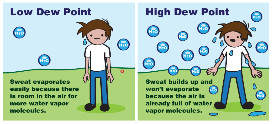 This digital graphic compares low dew point and high dew point. On the left is a drawing labeled "Low Dew Point". In this cartoon, a character is standing outside. Around the character are three water molecules. The cartoon says, "Sweat evaporates easily because there is room in the air for more water vapor molecules". On the right is a drawing labeled "High Dew Point". In this cartoon, the same character is sweating a lot and there are a lot of water molecules around them. The cartoon says, "Sweat builds up and won’t evaporate because the air is already full of water vapor molecules".