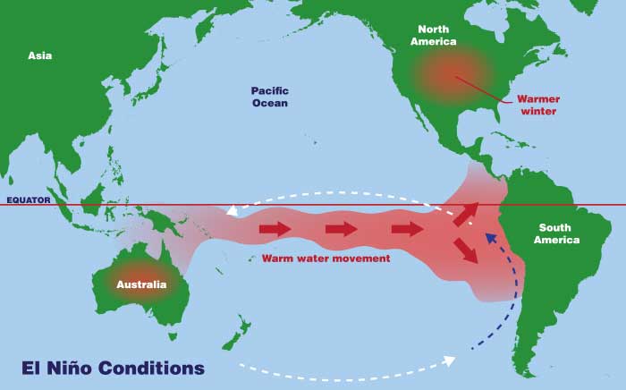 Map shows conditions in an el Niño year, the trade winds weaker, allowing warm surface water in the Pacific to pile up off the west coast of South America.