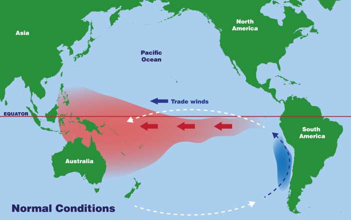 Map shows conditions in a normal year, with trade winds blowing west across the Pacific at the equator, pushing warm surface water toward Indonesia.