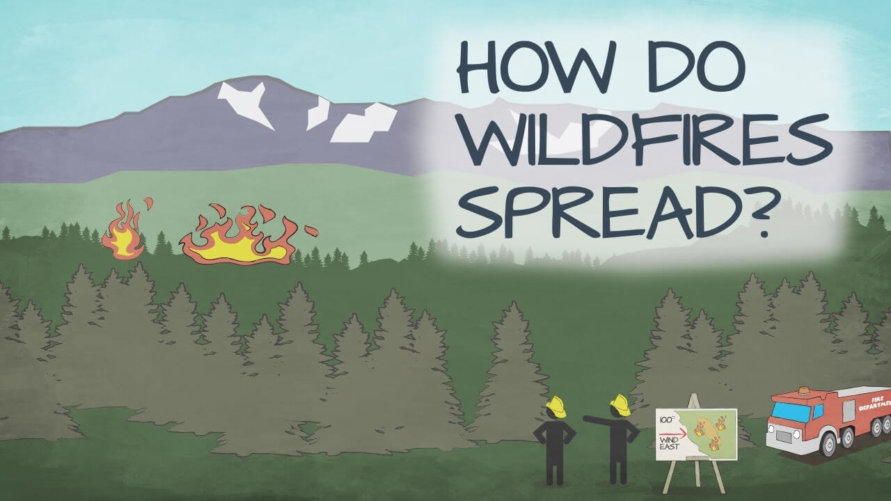 Cartoon of firefighters pointing at a forest fire.