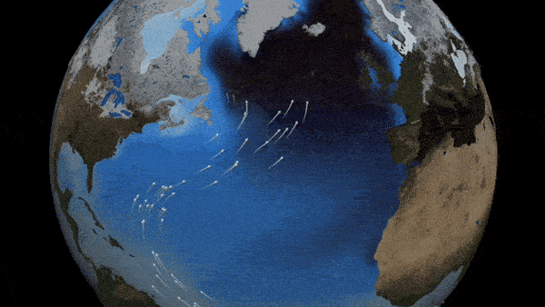 an animation showing the Gulf Stream sending warm water to the North Atlantic Ocean