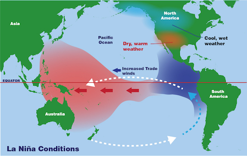 Double Dipping Why Does La Nina Often Occur In Consecutive Winters Noaa Climate Gov