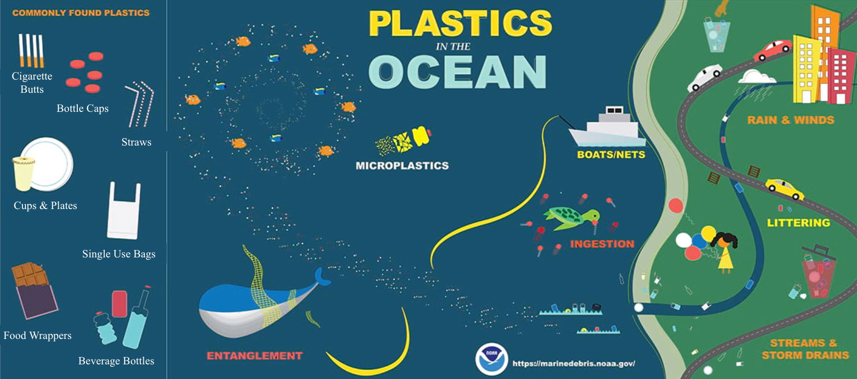 An infographic displaying the types and sources of plastic found in the ocean.