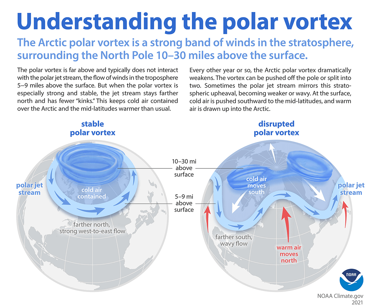On the left, an illustration of Earth shows a strong jet stream containing cold air near the North Pole during normal conditions. On the right, an illustration of Earth shows a weak jet stream allowing cold polar air to drift further south, causing a polar vortex.