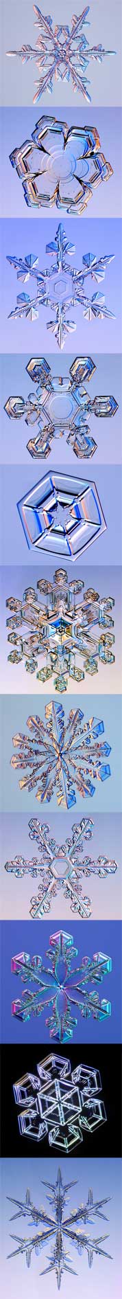 Photomicrographs of six different snow crystals.