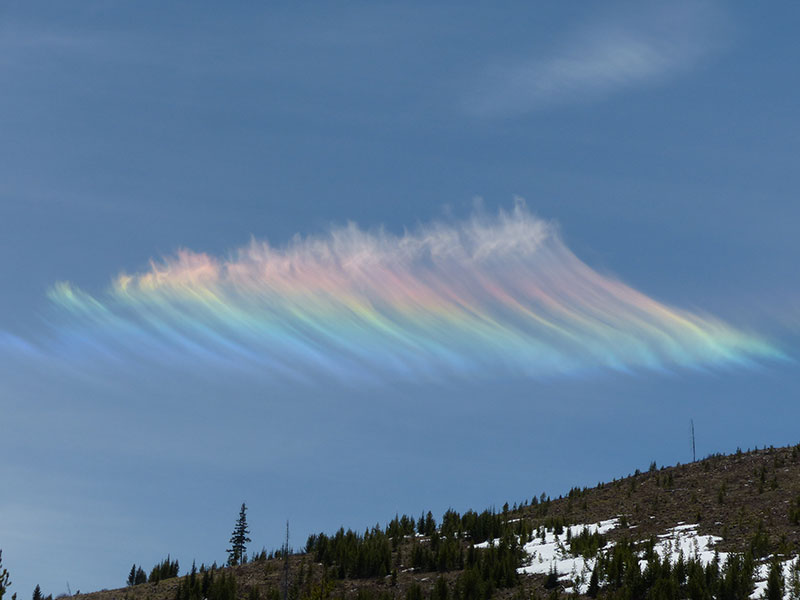 A cloud reflecting rainbow colors in the blue sky above a forested mountain.