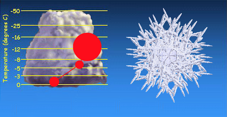 Snowflakes and snow crystals can grow fairly large, but there are limits :  NPR