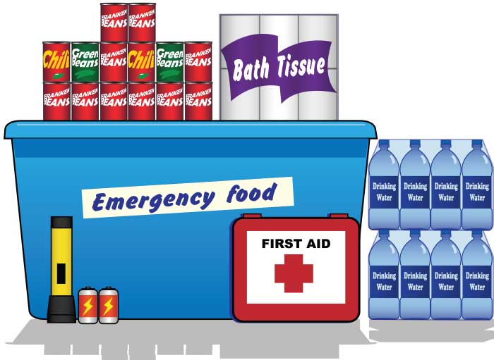 Drawing of disaster preparedness supplies, including canned food, drinking water, toilet tissue, flashlight, and batteries. Other things are implied to be in the plastic bin.