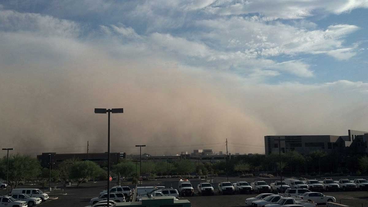 How to prevent dust storms