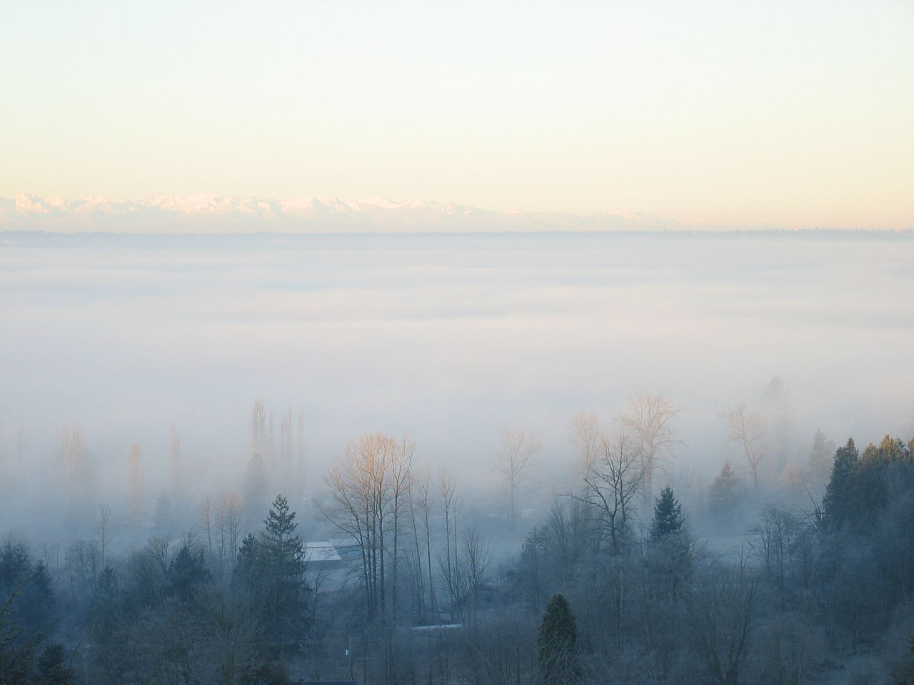 What S The Difference Between Fog And Clouds Noaa Scijinks All About Weather