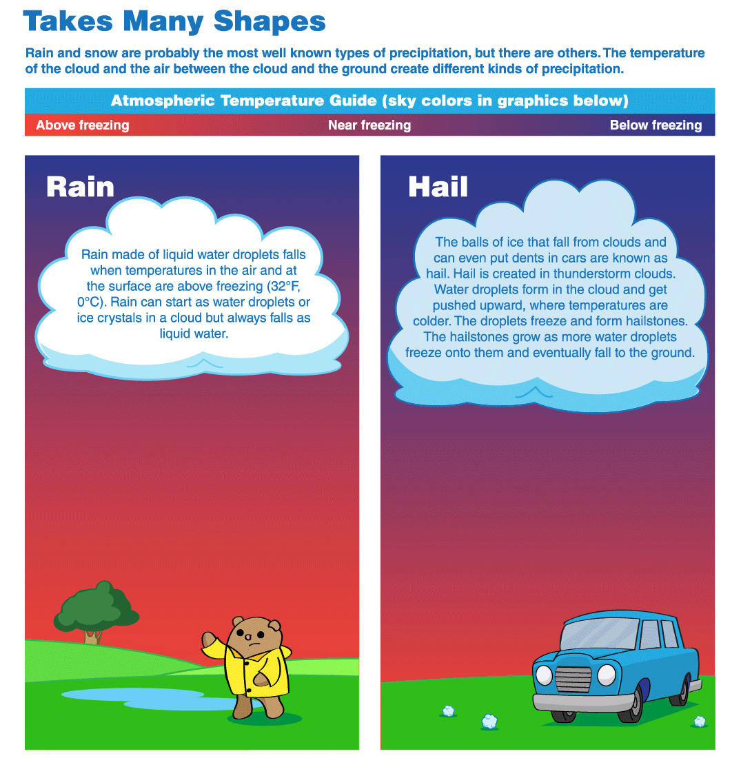 Infographic describing the different types of precipitation, including rain, hail, sleet, freezing rain, graupel and snow.