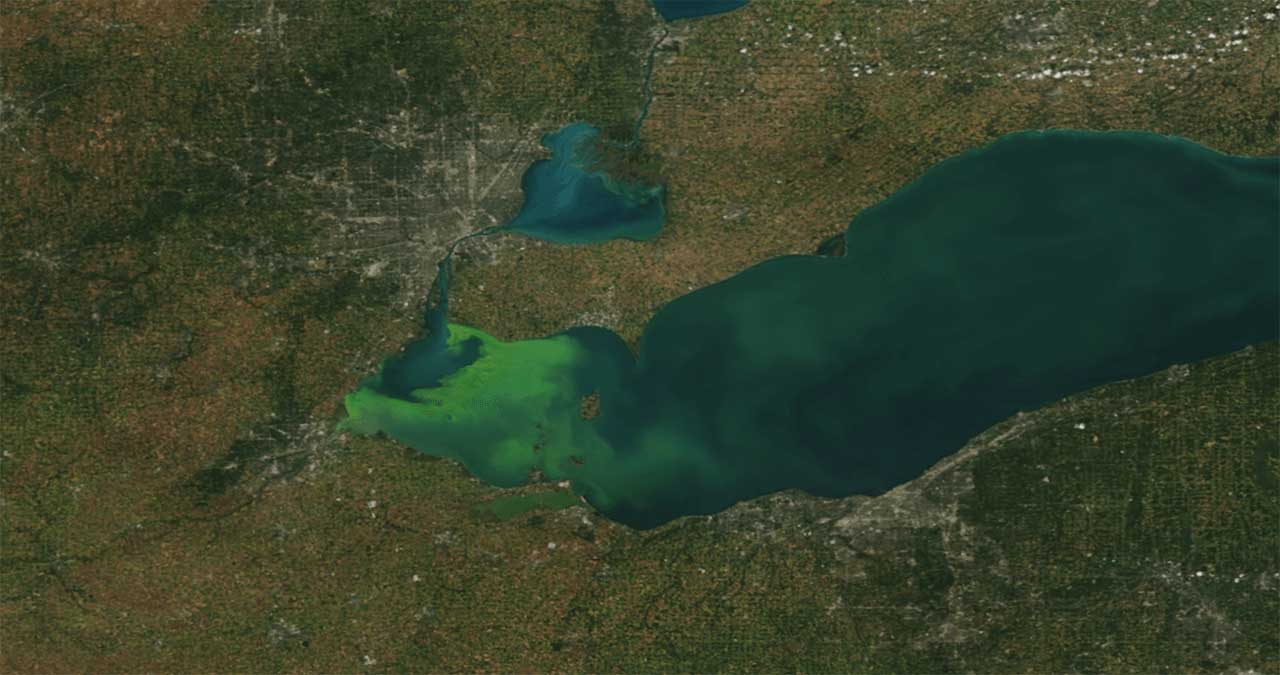  Image d'une prolifération d'algues dans le lac Érié.