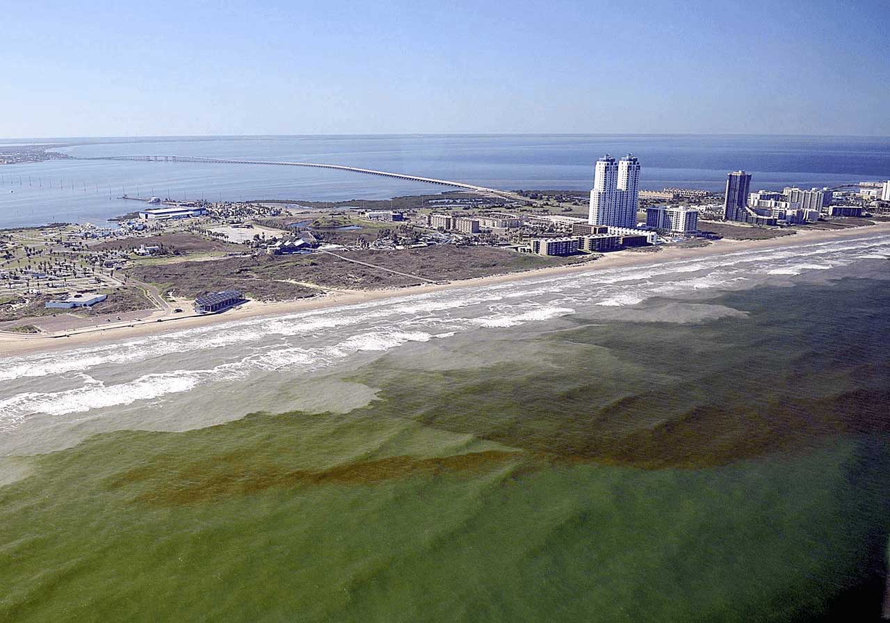 A red tide blooms off the coast of Texas.