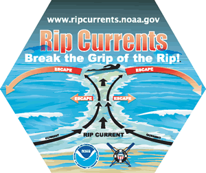 How To Spot A Rip Current And Get Past It 