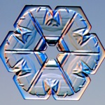 close-up photo of a snowflake