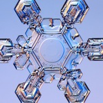 close-up photo of a snowflake