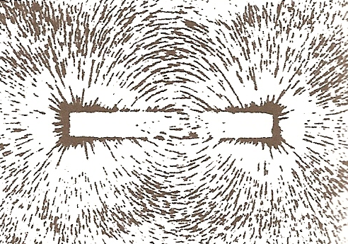 Iron filings sprinkled over bar magnet follow magnetic lines of force, which come out of one end of the magnet and loop around to the other end.