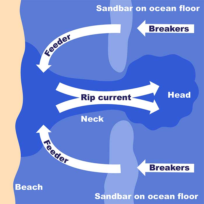 Diagram shows how waves approaching shore are deformed by sandbar on the ocean floor, and then make a u-turn to form a current flowing back out to sea.