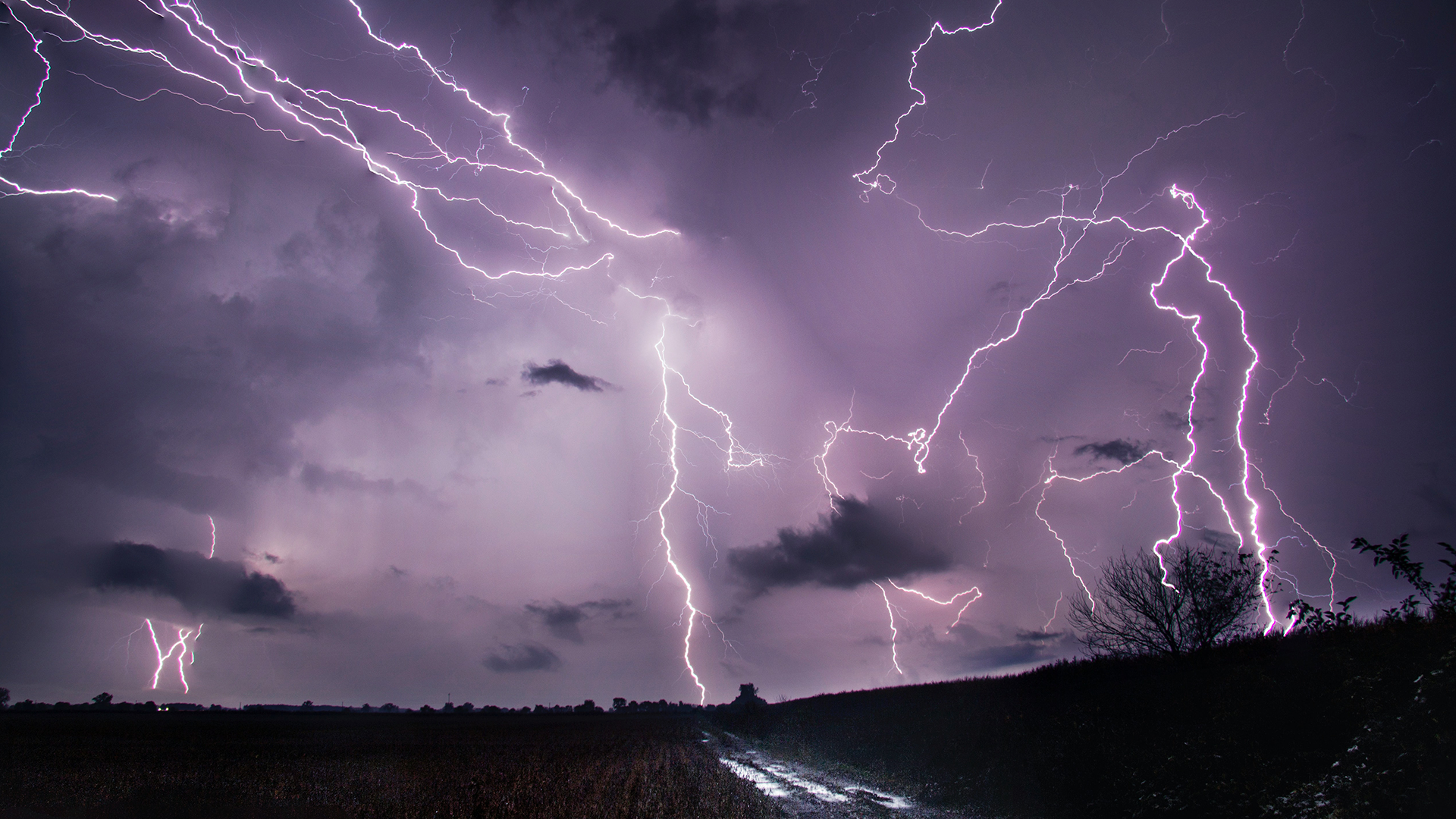 Multiple lightning bolts in the night sky