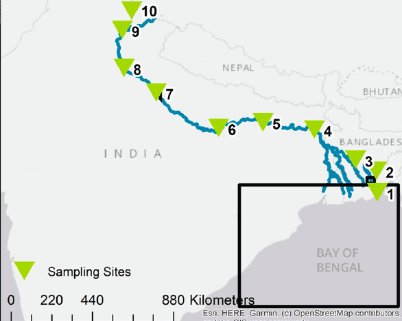 Image of the path of plastic in the ocean