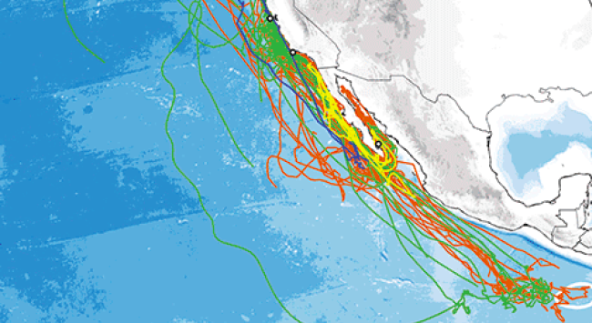 Image of the pacific coast in the US