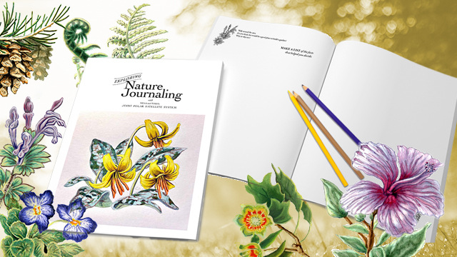 An opened journal with color pencils and illustrations of plants and flowers.