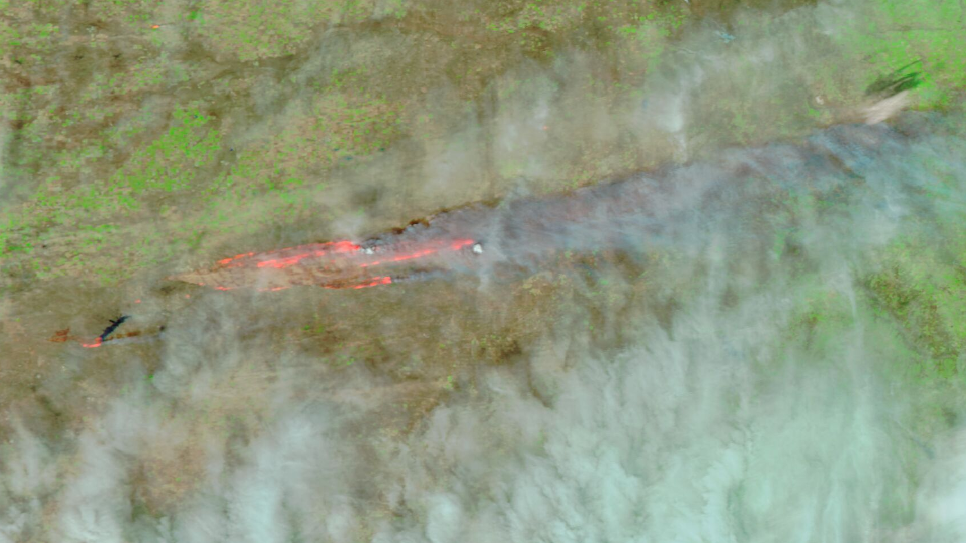 Image of wildfires in Texas from space.