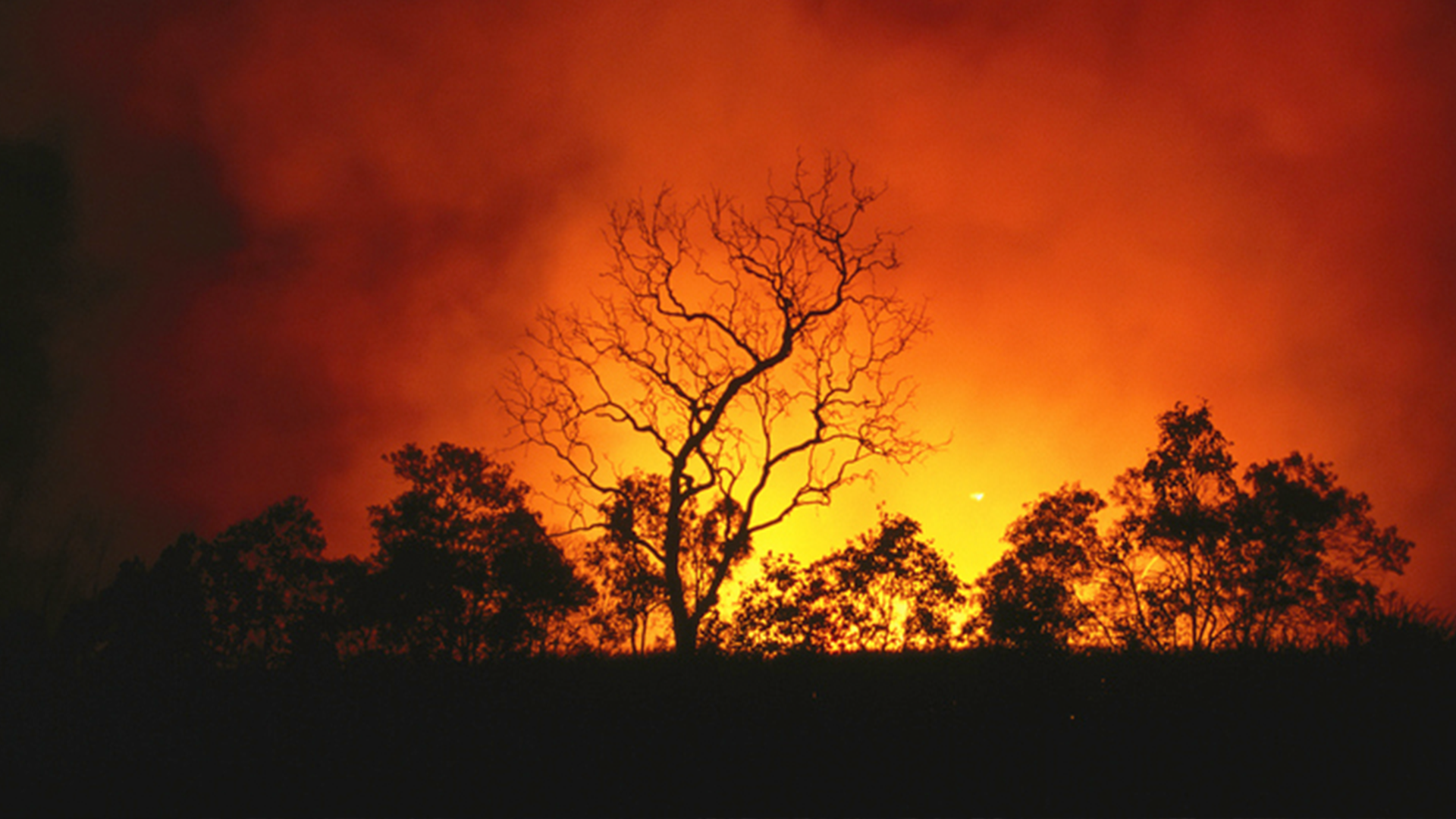 Outdoor wildfires at night.