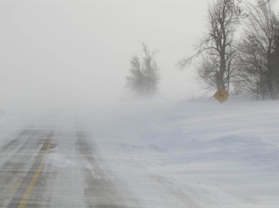 Snow blowing across a road during a blizzard