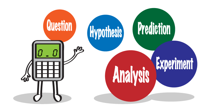 wonder, define, design, review, experiment, analyze, conclude