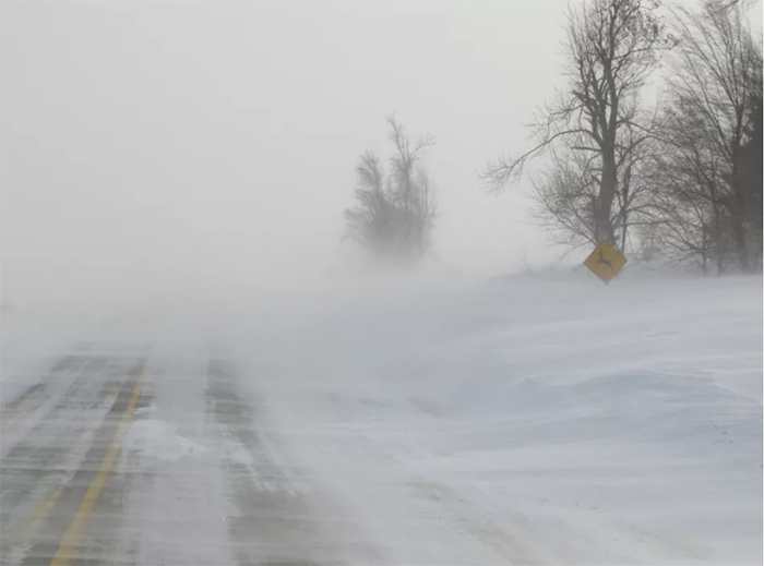 A snowy, rural road is nearly obscured by heavy blowing snow, reducing visibility. Bare trees line the right, and a tilted yellow warning sign is barely visible.