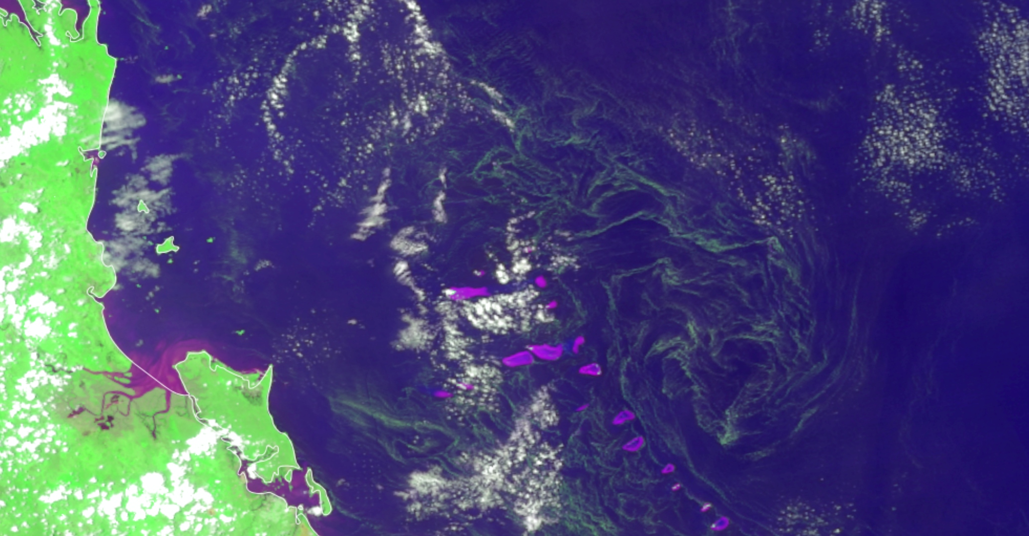 Blue and green image of algea bloom near the florida coast.