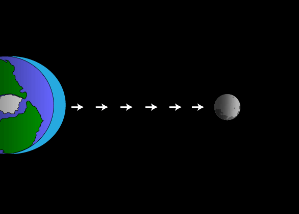An illustration of the tidal force, viewed from Earth's North Pole. Water bulges toward the moon because of gravitational pull. Note: The moon is not actually this close to Earth.