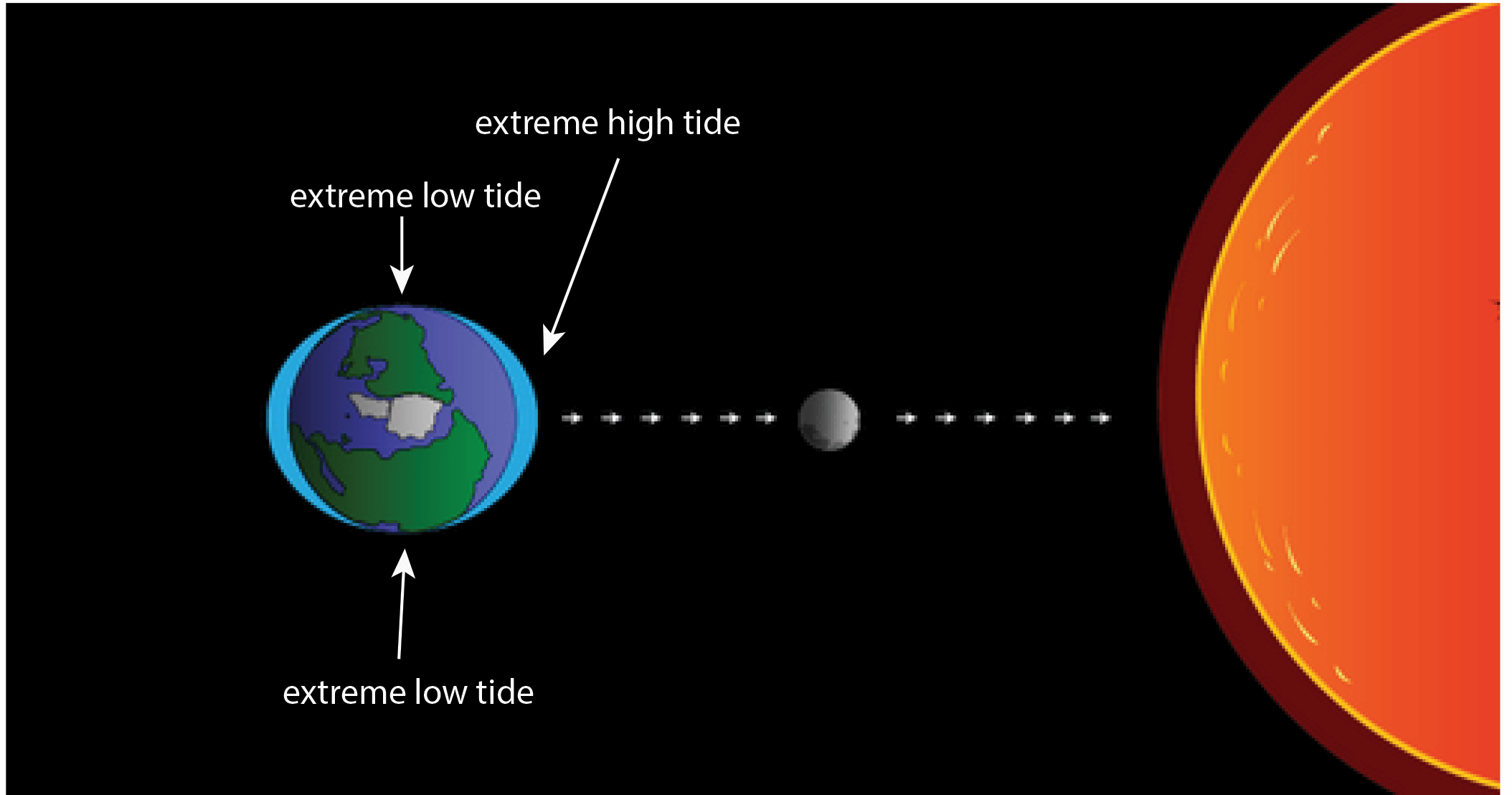 When the gravitational pull of the Sun and moon are combined, you get more extreme high and low tides. This explains high and low tides that happen about every two weeks. Note: this figure is not to scale. The Sun is much bigger and farther away.
