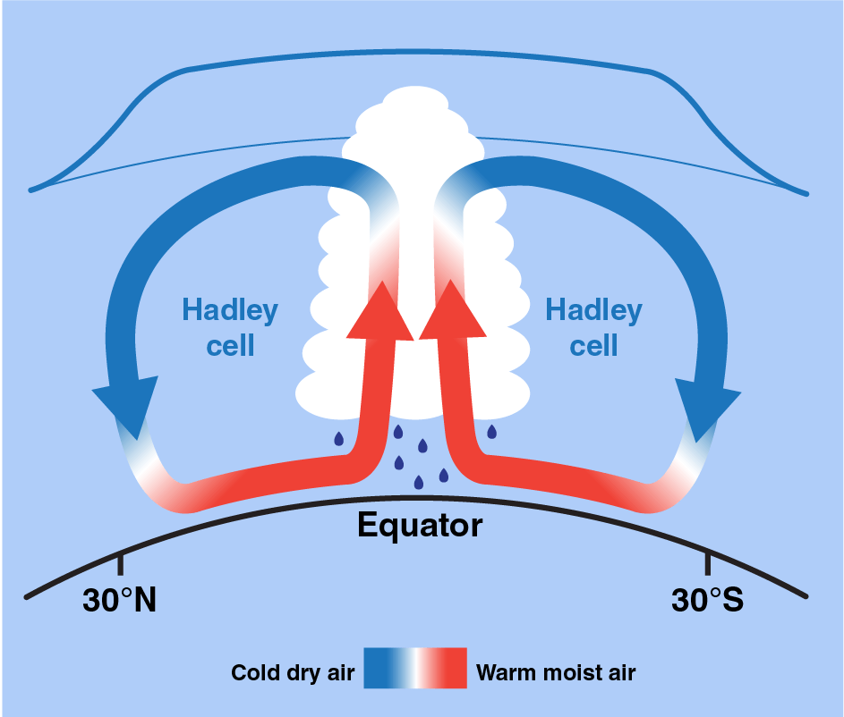 Illustration of the Hadley cell phenomenon, caused by a cycle of warm, moist air rising near the equator that eventually cools and sinks a bit further north in the tropics.