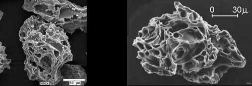 Particles are rough, with sharp edges and holes. Scale measurements show that particles are about 100 micrometers across.