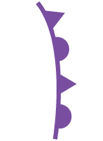 a purple line with purple triangles and purple half circles, the occluded front symbol
