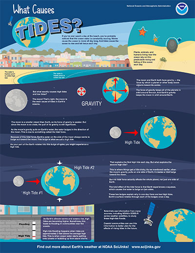 Thumbnail of What Causes Tides? infographic available for download.