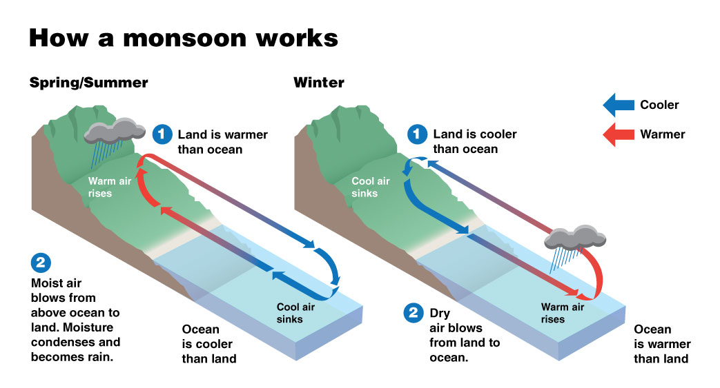Red and blue arrows demonstrate the movement of air from cool ocean to warm land in the summer and cool land to warm ocean in the winter.