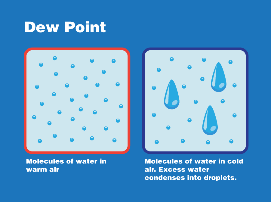 This digital graphic is labeled "Dew Point". On the left is a square outlined in red with small circles scattered across the square’s area. These circles represent molecules of water in warm air. On the right is a square outlined in dark blue, representing cool air. Inside this square are a few molecules of water with three big water droplets, representing molecules of water in cold air that condense into larger droplets.
