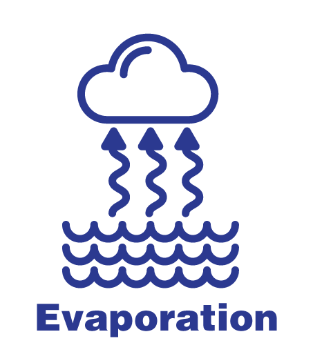 This digital graphic is labeled "Evaporation". This cartoon is a simple line drawing. At the bottom are three wavy lines, representing a body of water. Wavy arrows point upwards from the waves toward a cloud at the top of the cartoon.